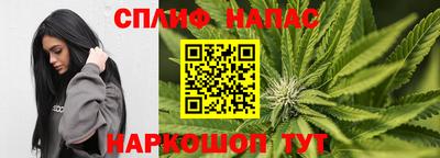 ГАЛЛЮЦИНОГЕННЫЕ ГРИБЫ Коммунар