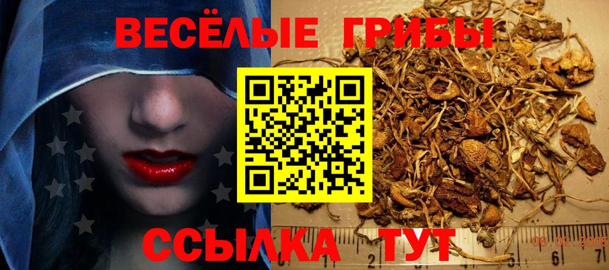 Псилоцибиновые грибы Magic Shrooms  Вход с VPN  Тамбов 